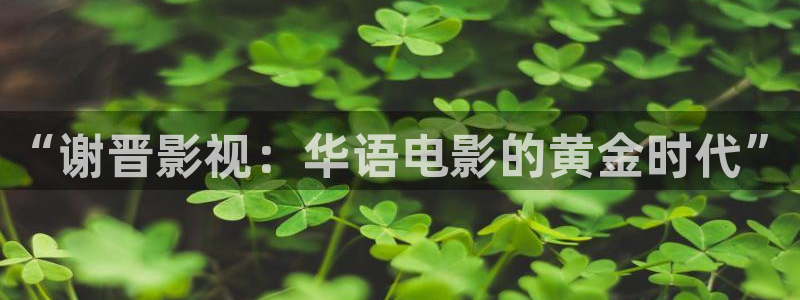 韩国影视推荐：“谢晋影视：华语电影的黄金时代”