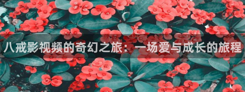 韩国影视免费观看：八戒影视频的奇幻之旅：一场爱与成长的旅程
