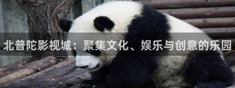 必胜韩国影视：北普陀影视城：聚集文化、娱乐与创意的乐园