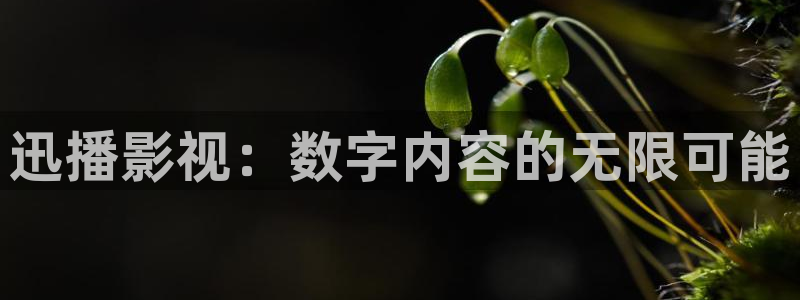 韩国影视在线免费观看：迅播影视：数字内容的无限可能