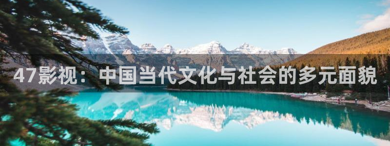 成人韩国影视：47影视：中国当代文化与社会的多元面貌