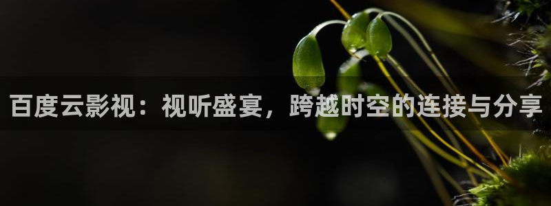 韩国影视电影：百度云影视：视听盛宴，跨越时空的连接与分享