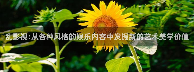 成人韩国影视：乱影视:从各种风格的娱乐内容中发掘新的艺术美学价值