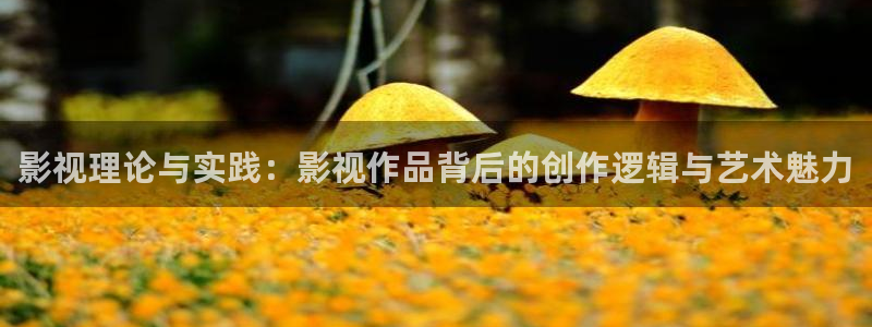 穿梭在韩国影视世界的小说：影视理论与实践：影视作品背后的创作逻辑与艺术魅力
