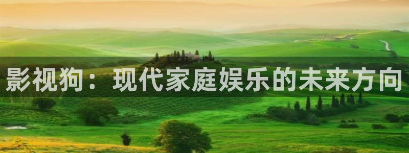 穿梭在韩国影视世界的小说：影视狗：现代家庭娱乐的未来方向